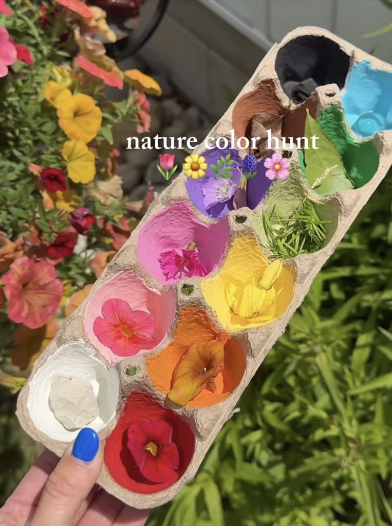 Nature color hunt using flowers, leaves, and natural materials